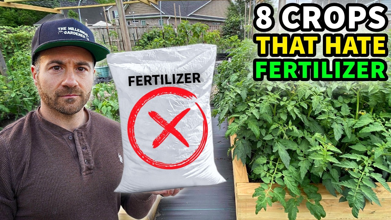 Plants That Detest Fertilizer: Lazy Budget-Friendly Gardening Tips