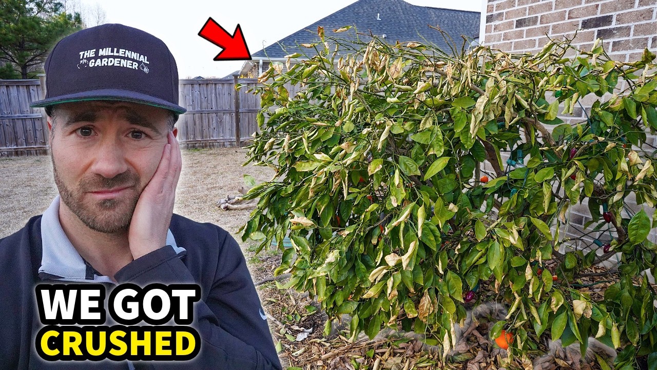 We Were Completely Overwhelmed!