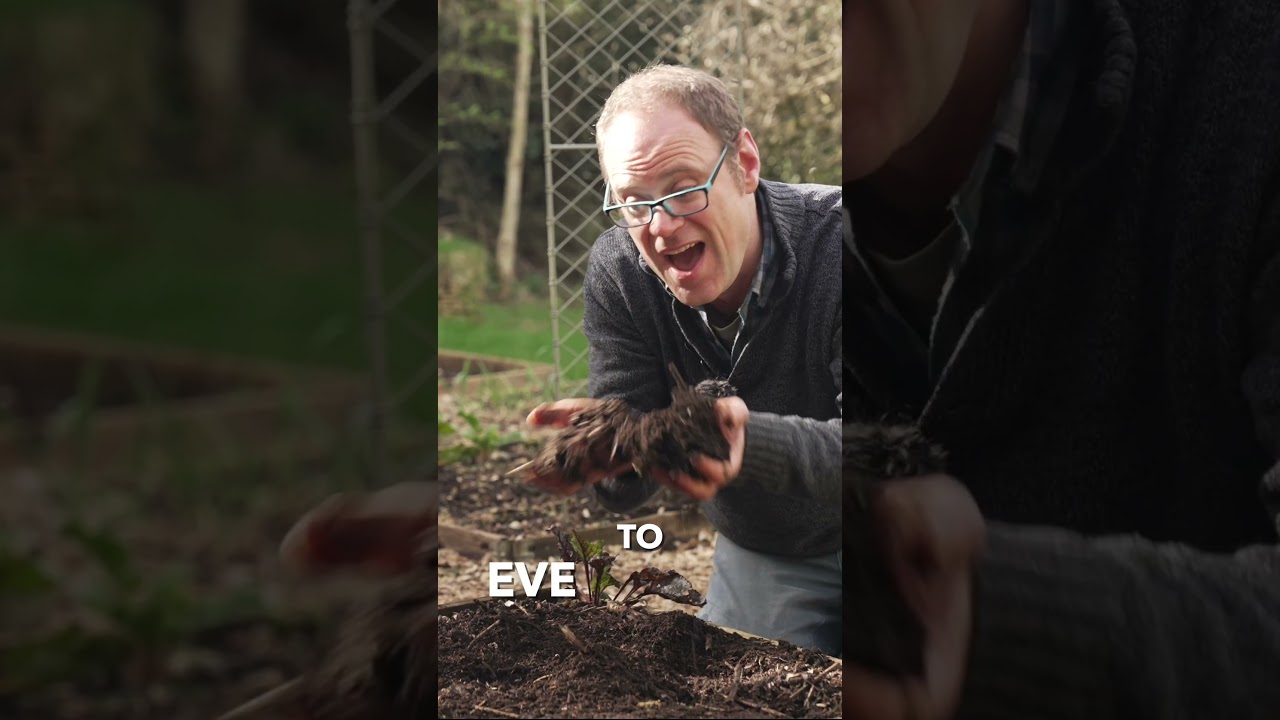 Love Your Soil: The Key to a Thriving Garden or a Failed Harvest